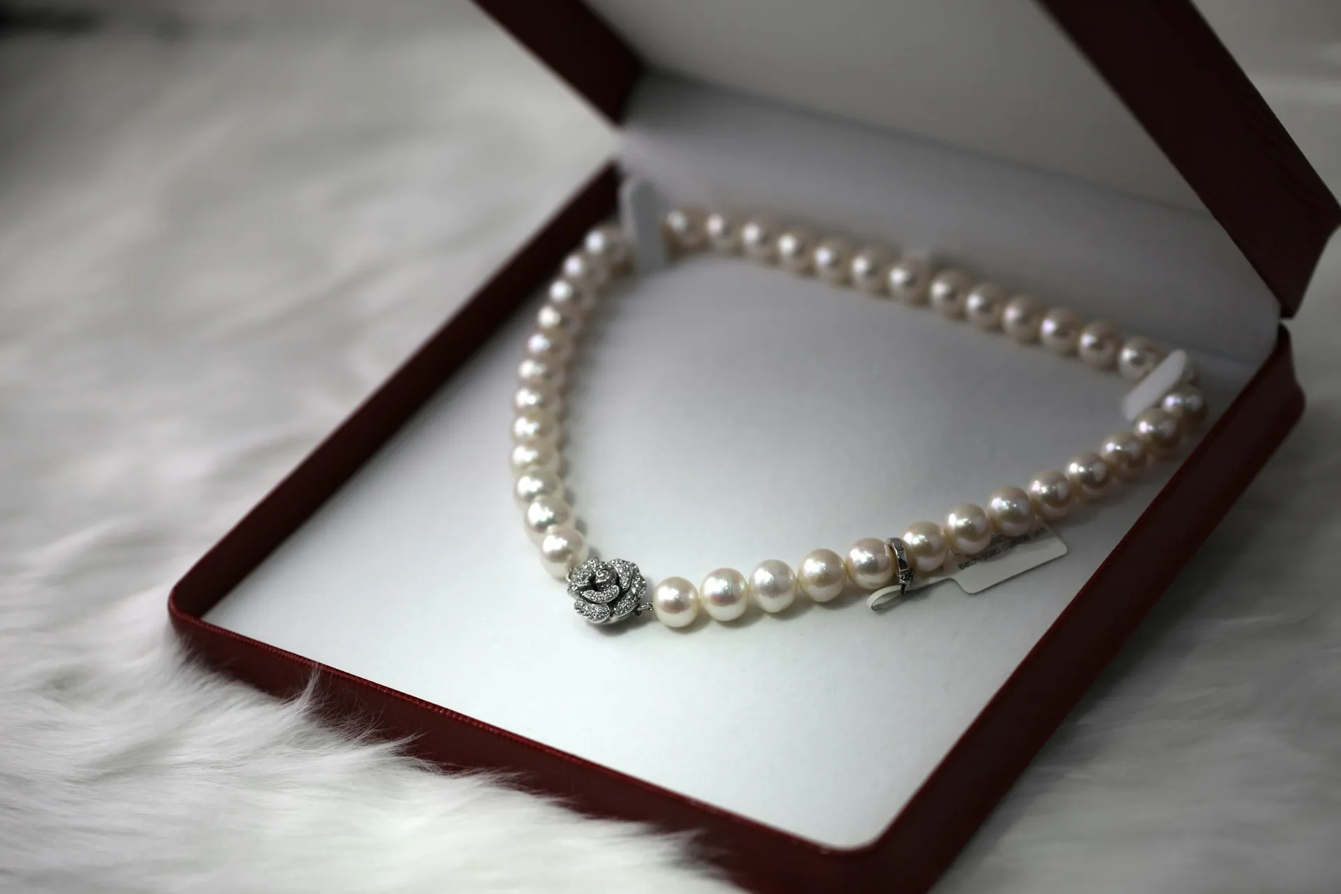 High jewellery photographed against dark velvet